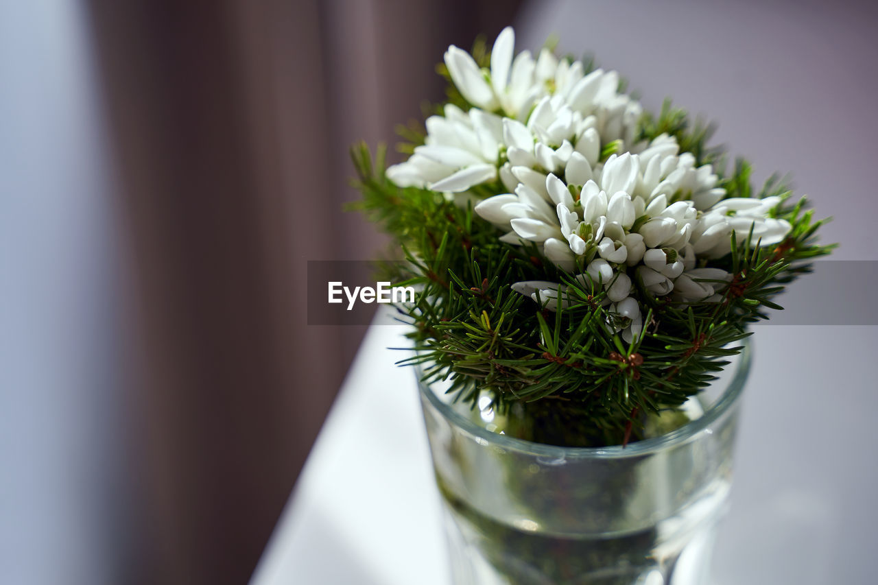 plant, flower, flowering plant, floral design, floristry, nature, indoors, freshness, green, flower arrangement, close-up, no people, beauty in nature, bouquet, studio shot, flower head, focus on foreground, food and drink, glass, white, decoration, vase, celebration, drinking glass, still life, arrangement, table