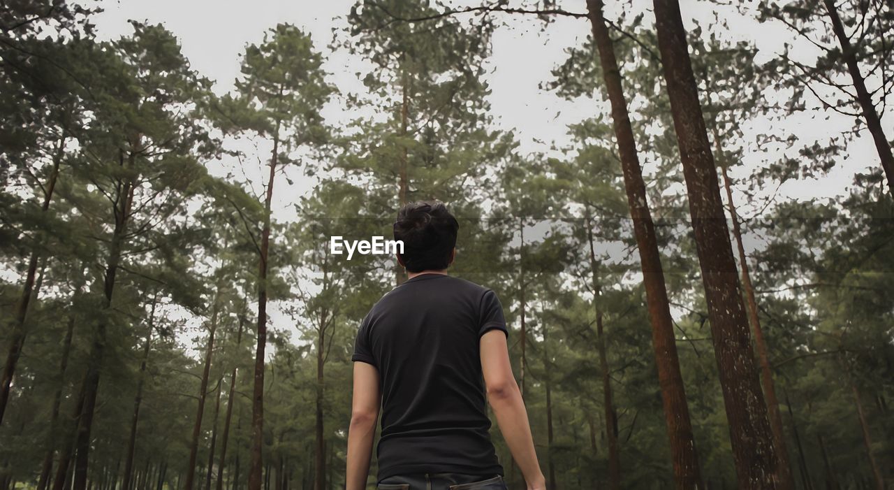 REAR VIEW OF MAN STANDING BY TREE IN FOREST