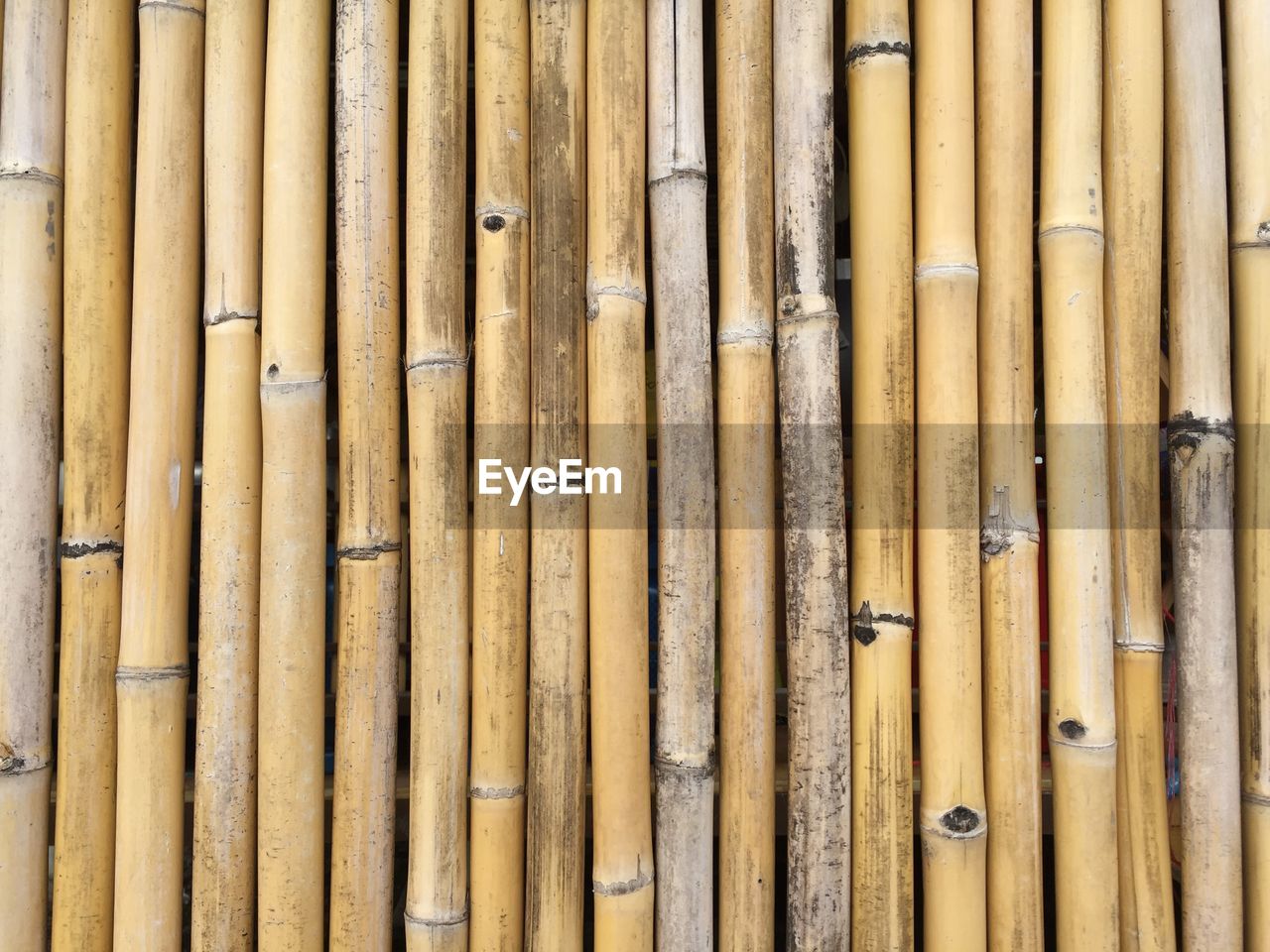 FULL FRAME SHOT OF BAMBOO