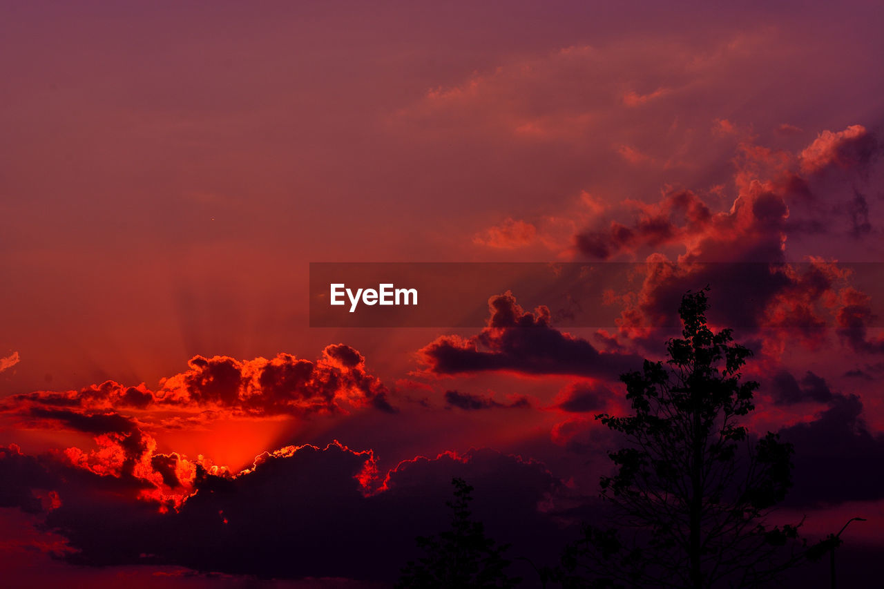 Low angle view of silhouette trees against dramatic sky