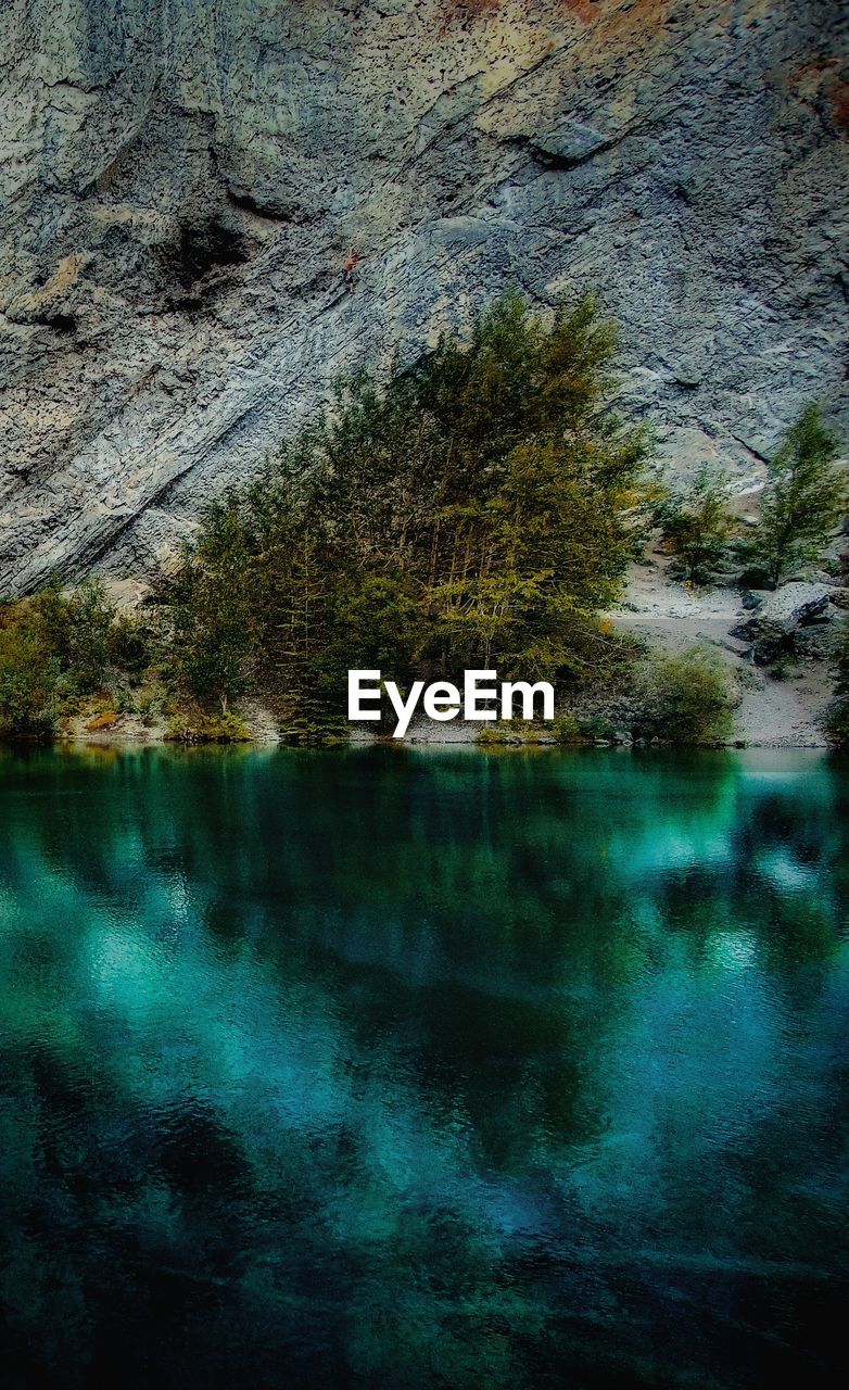 REFLECTION OF TREES IN LAKE