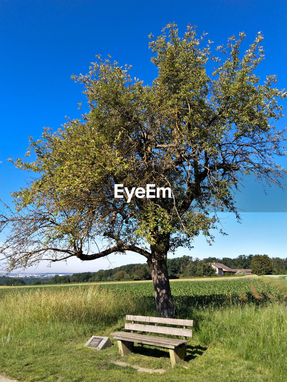 BENCH IN PARK AGAINST SKY