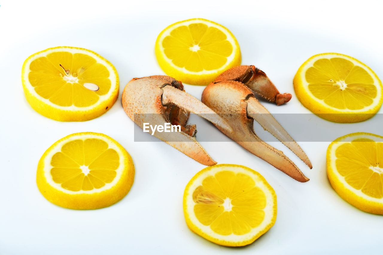 DIRECTLY ABOVE SHOT OF ORANGE FRUIT ON TABLE