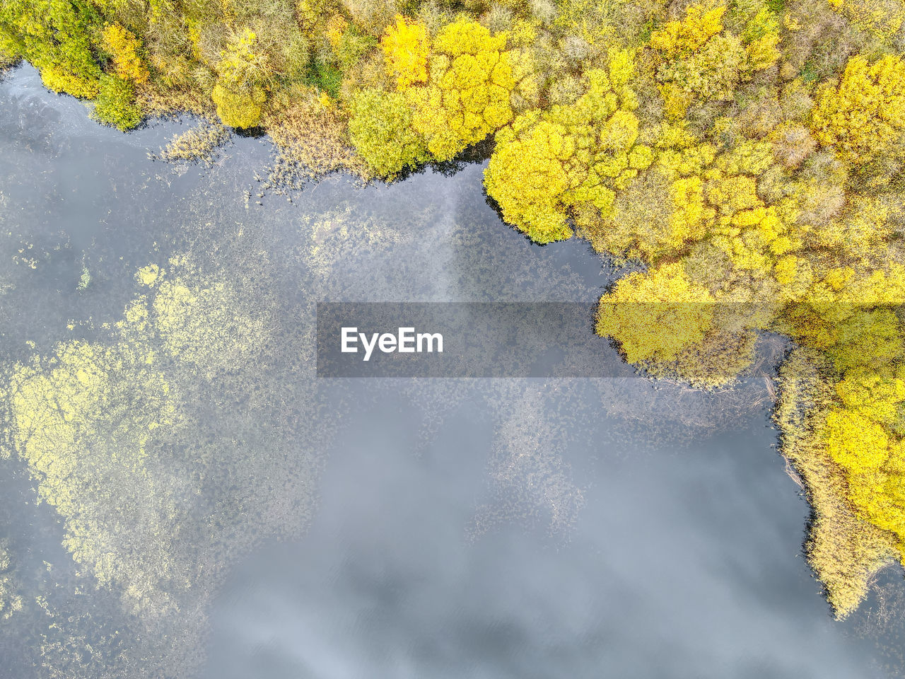 Drone photos of a lake and forest in east yorkshire, uk. autumn colours and stunning sky reflections