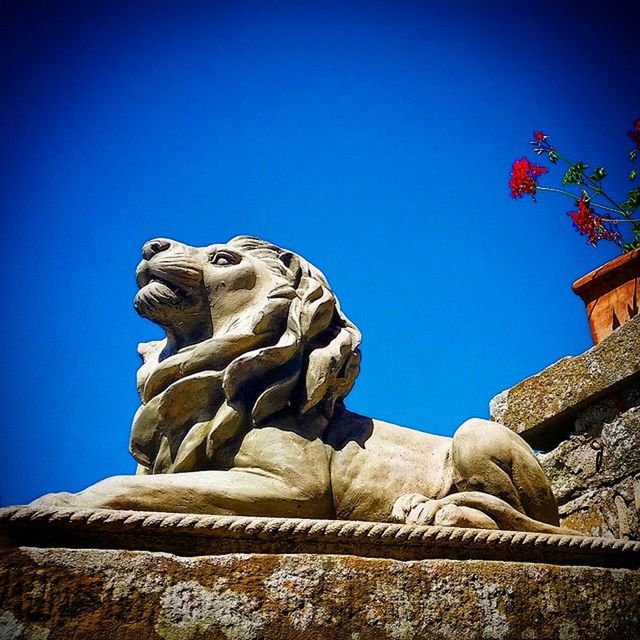 LOW ANGLE VIEW OF CLEAR BLUE SKY