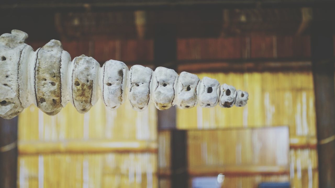 CLOSE-UP OF CANDLES ON WOOD