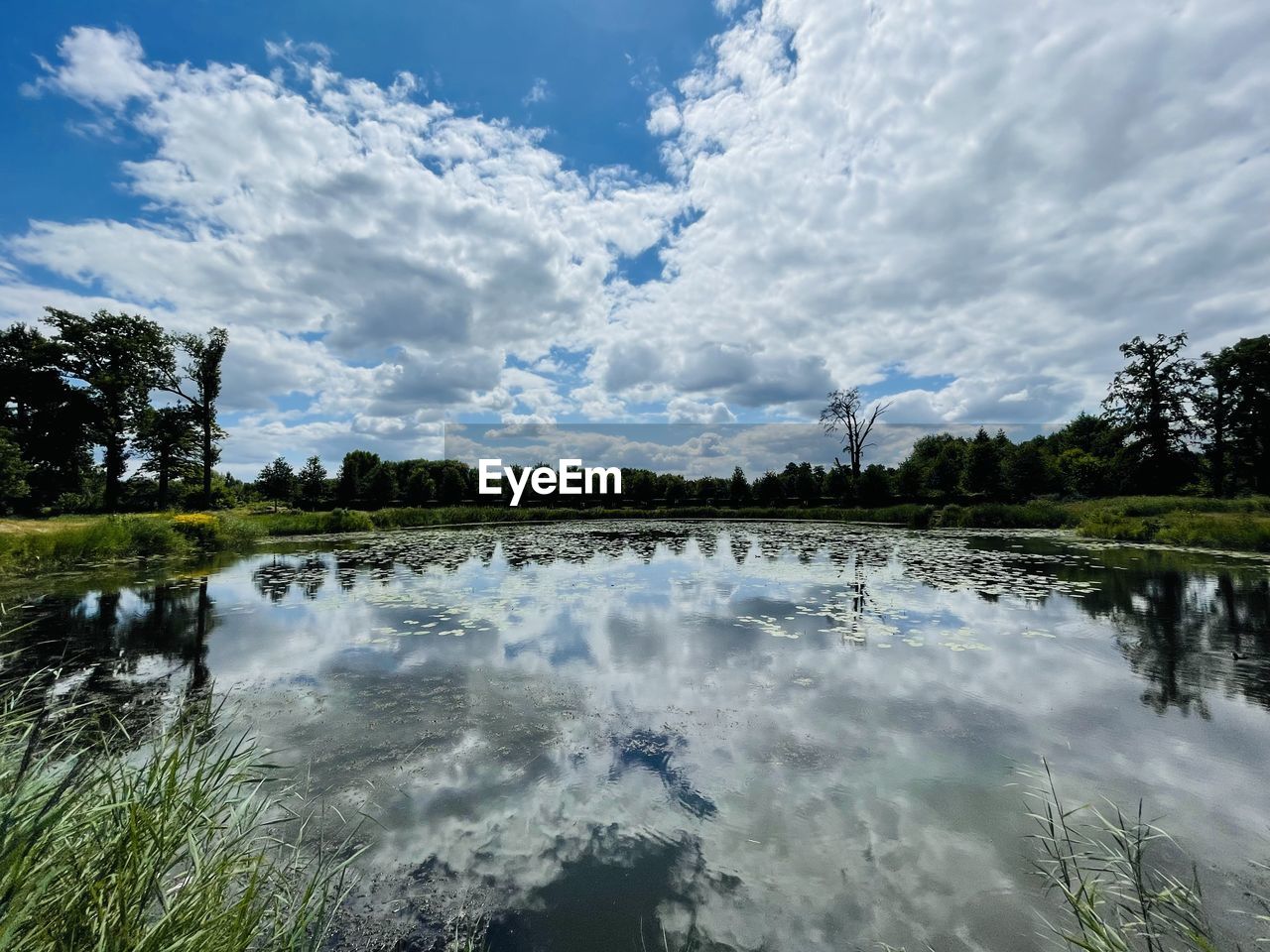 water, reflection, sky, nature, cloud, tree, plant, river, scenics - nature, beauty in nature, body of water, environment, landscape, tranquility, tranquil scene, no people, blue, travel destinations, non-urban scene, land, shore, outdoors, forest, travel, day, wetland, reservoir, tourism, pond, idyllic, grass