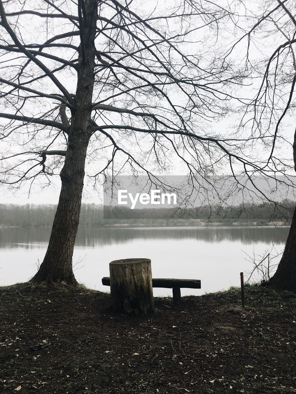 EMPTY BENCH BY BARE TREE AGAINST LAKE