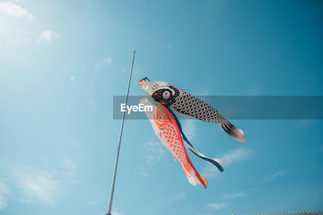 Low angle view of fish in mid-air against sky