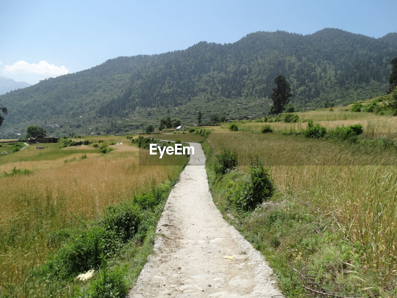 Scenic view of road amidst field against sky