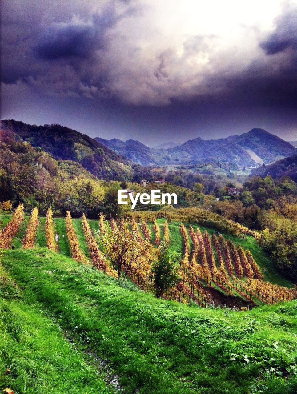 Farm near mountain