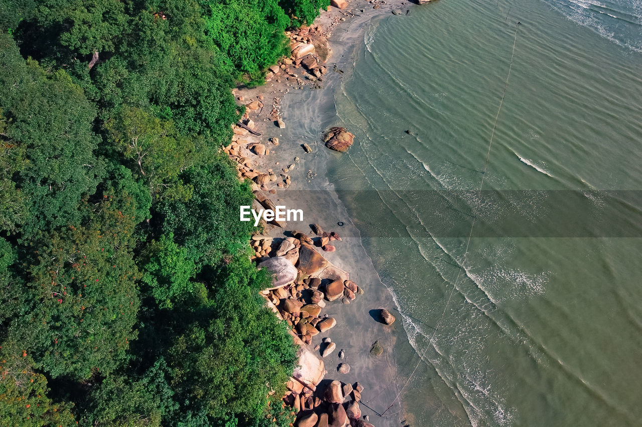 High angle view of sea and trees