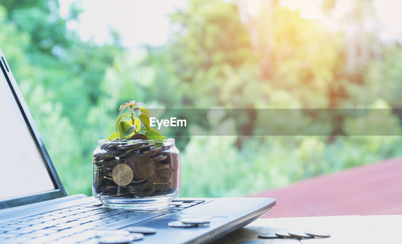 Close-up of seedling with coins in jar on laptop