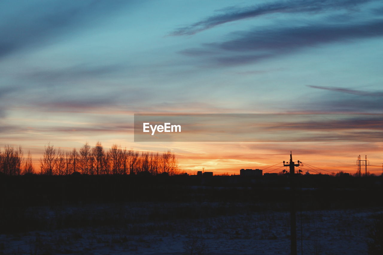 SILHOUETTE OF TREES AT SUNSET