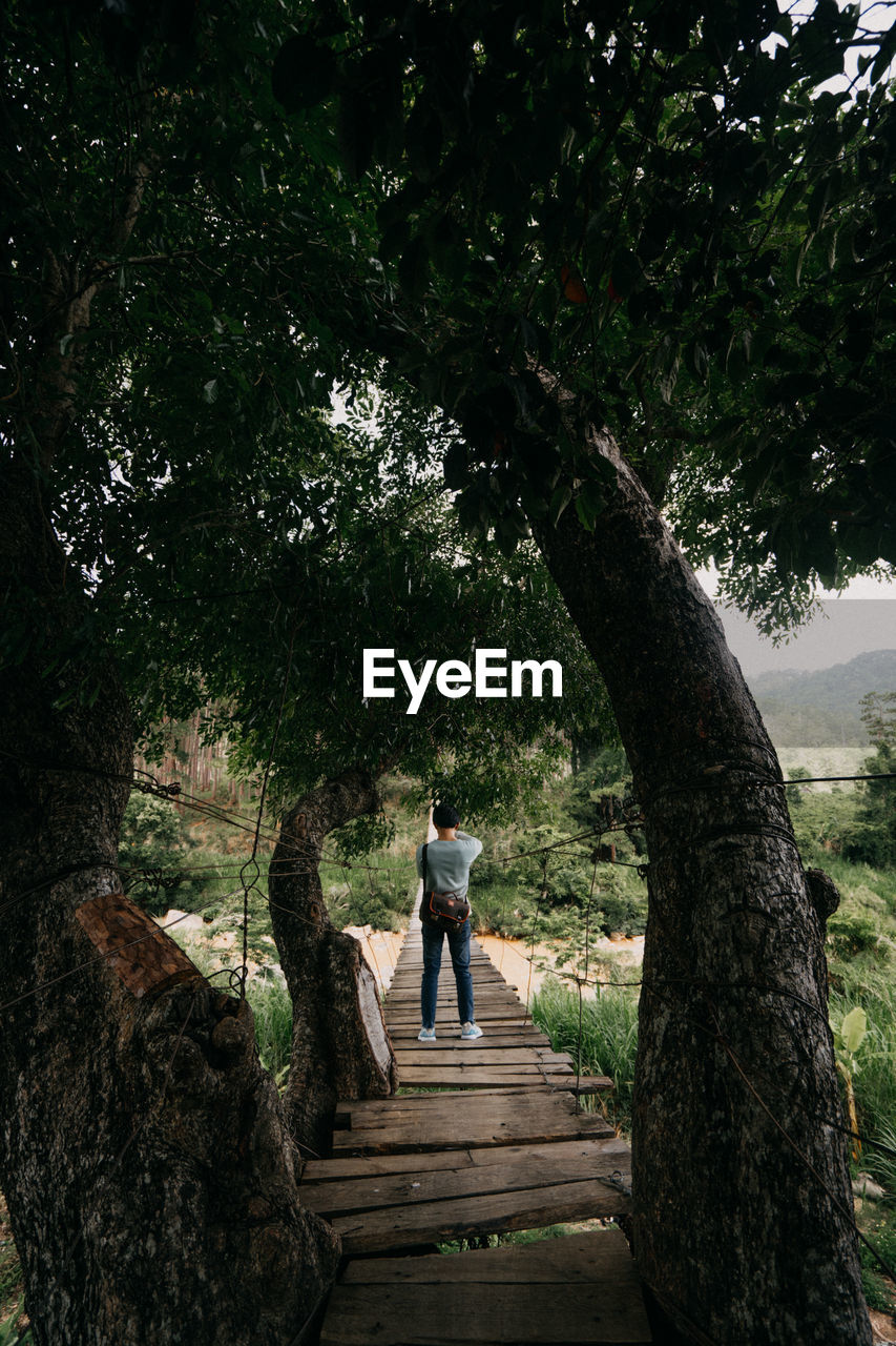 Rear view of man walking on footpath amidst trees