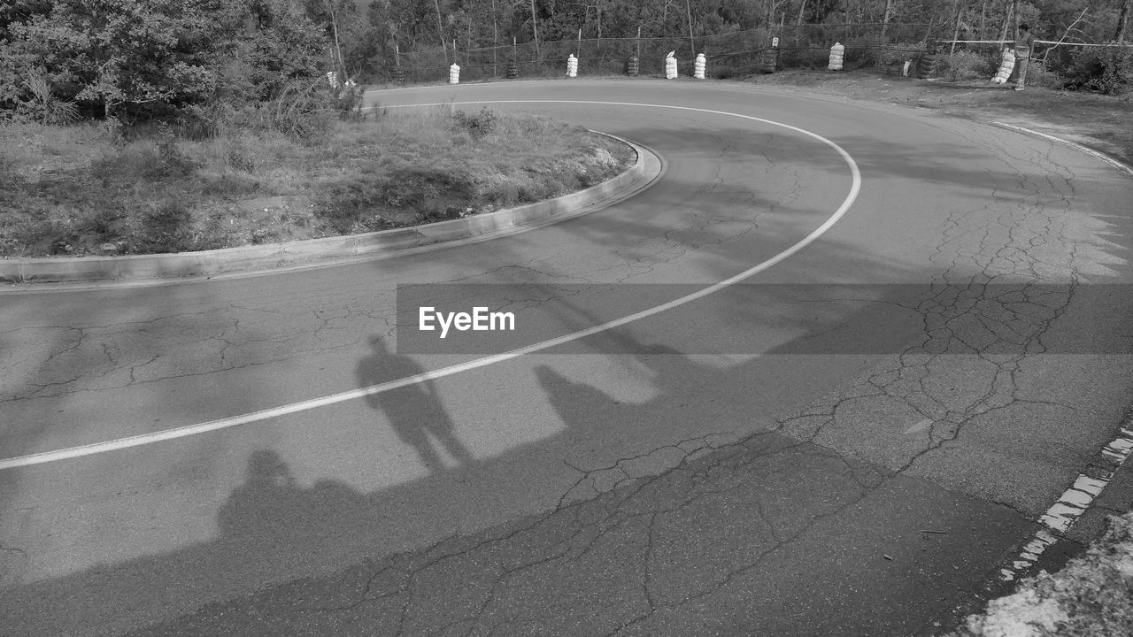 HIGH ANGLE VIEW OF TREES BY ROAD