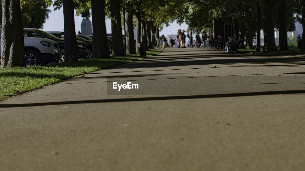 SURFACE LEVEL VIEW OF FOOTPATH