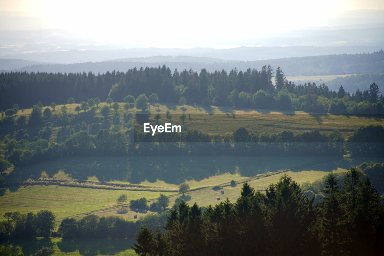 Scenic view of trees and landscape against sky