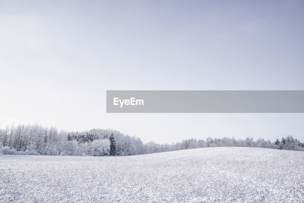 snow, winter, cold temperature, plant, landscape, environment, tree, scenics - nature, nature, sky, land, beauty in nature, tranquil scene, tranquility, copy space, frozen, non-urban scene, no people, forest, field, rural scene, coniferous tree, day, pine tree, white, clear sky, snowing, pinaceae, idyllic, freezing, outdoors, blue, frost, pine woodland, woodland, remote, freshness, cloud