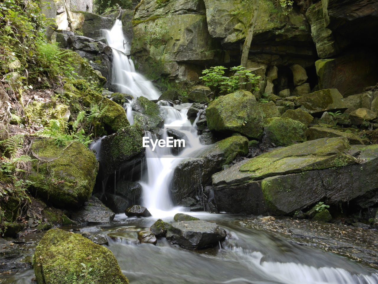 Stream flowing through rocks in forest