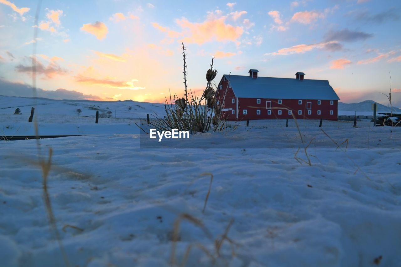 SNOW COVERED LANDSCAPE AT SUNSET