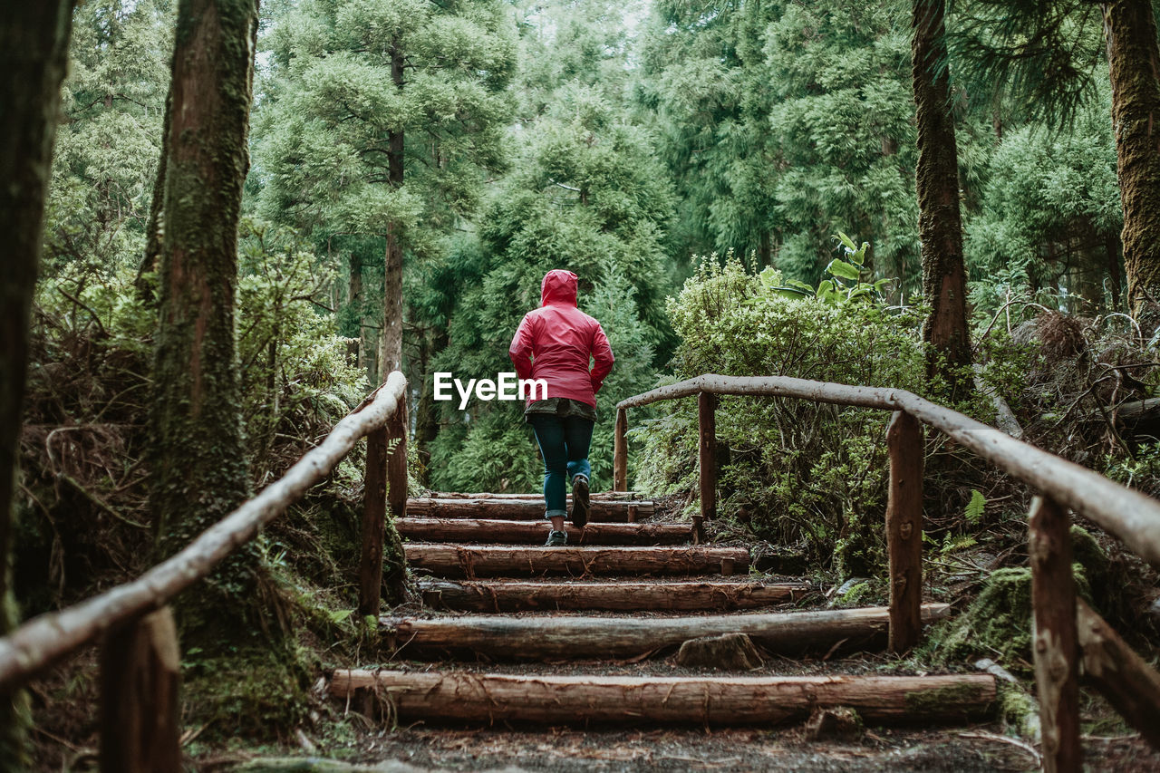 Rear view of woman moving up on steps against trees in forest