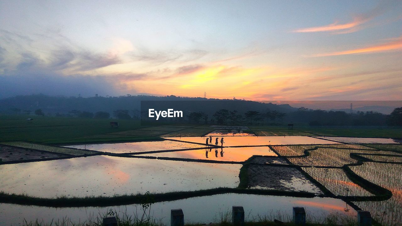 Scenic view of field against sky during sunset