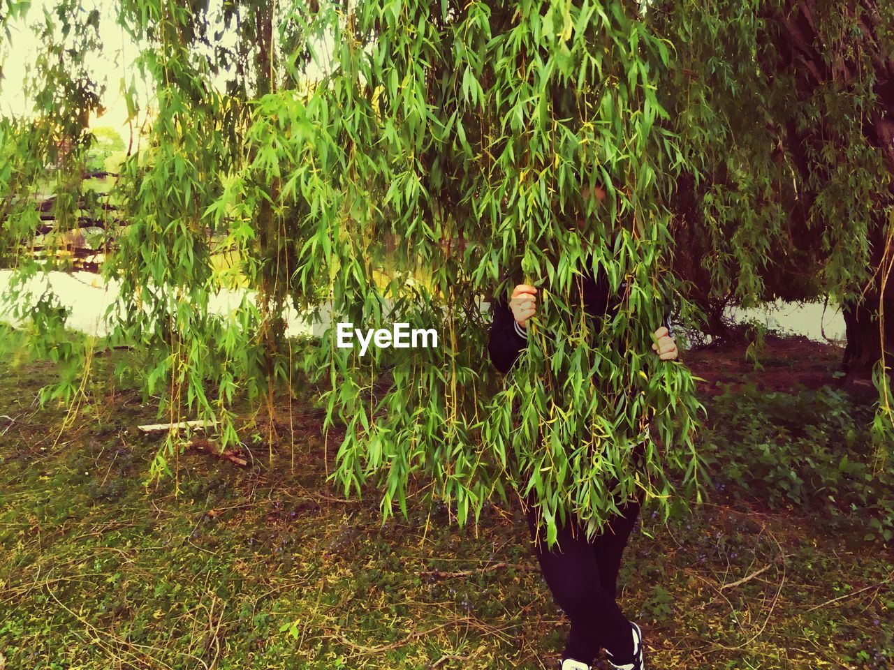 Woman hiding behind tree