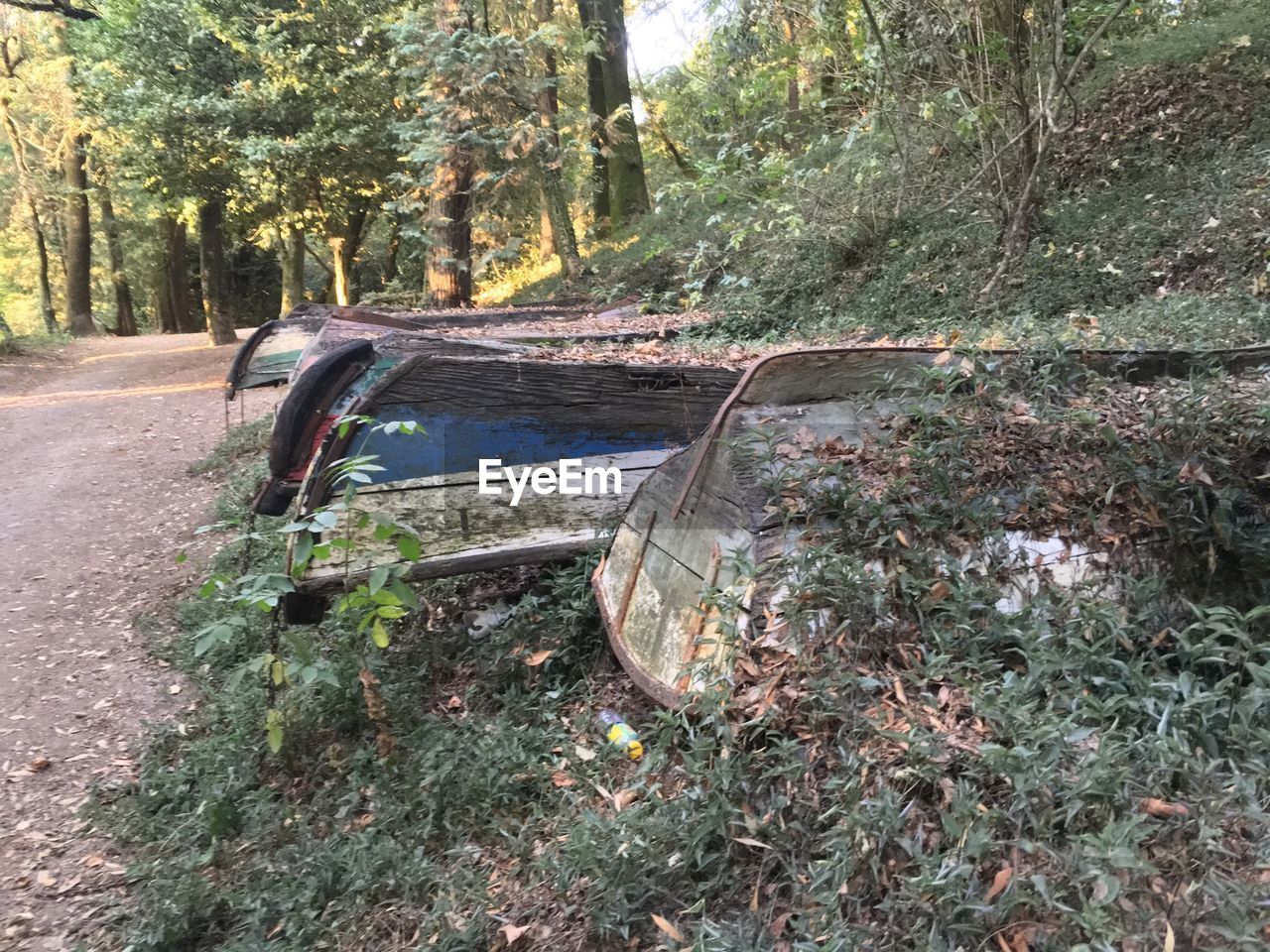 ABANDONED CART AGAINST TREES
