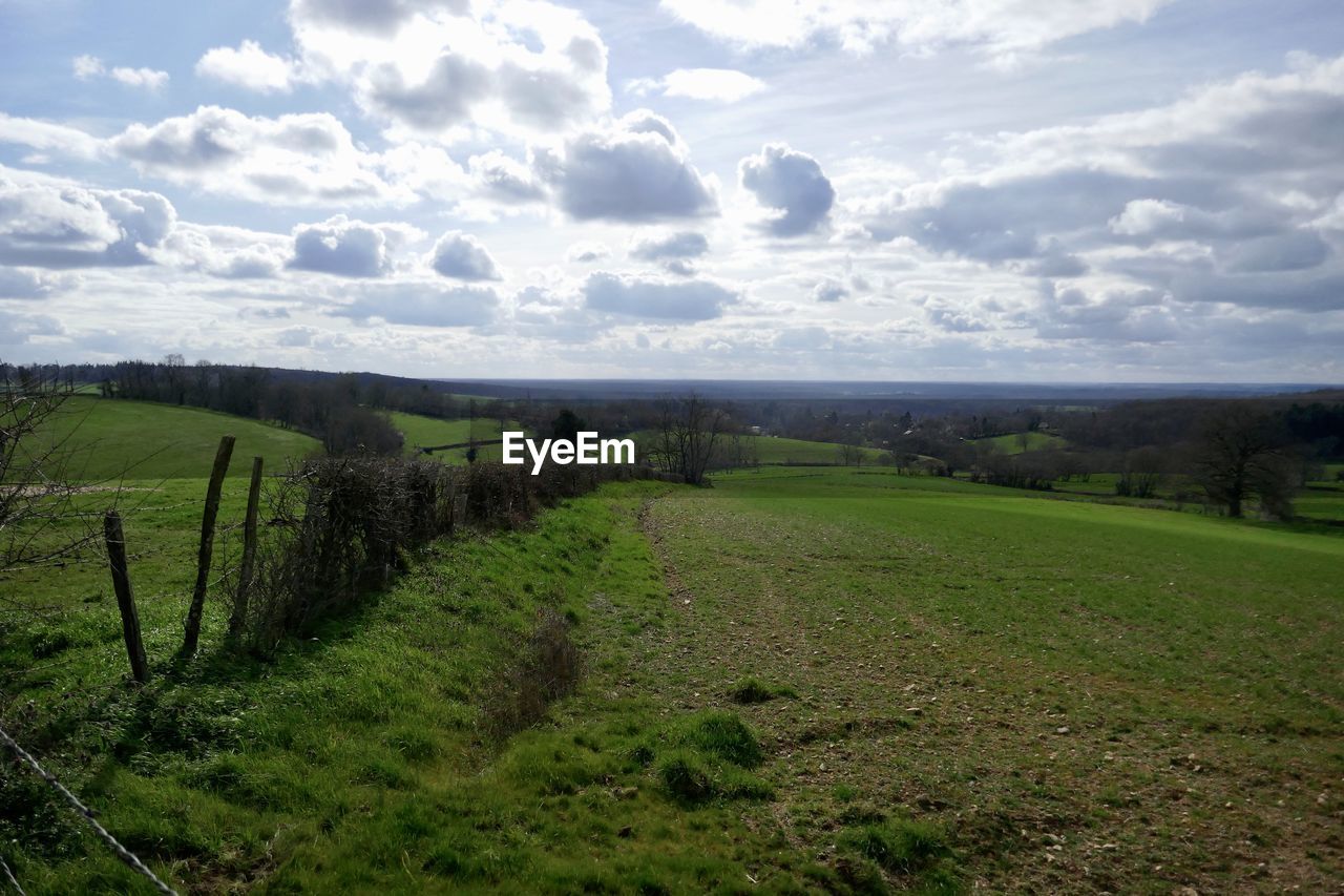 SCENIC VIEW OF AGRICULTURAL LANDSCAPE AGAINST SKY