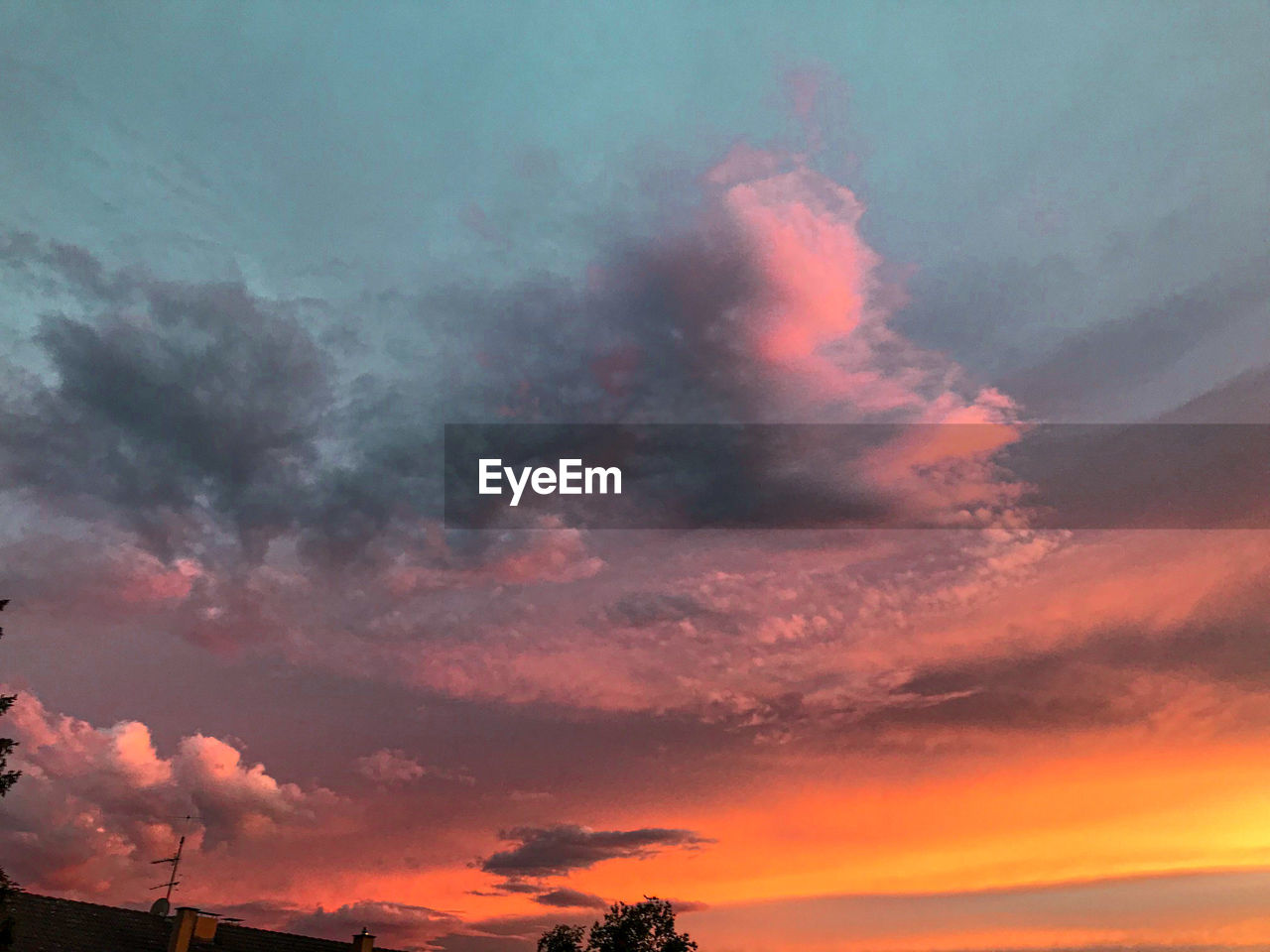 LOW ANGLE VIEW OF DRAMATIC SKY OVER SILHOUETTE TREES