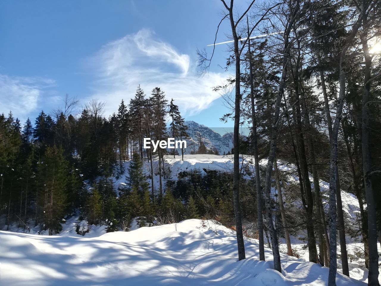 Snow covered land and trees against sky