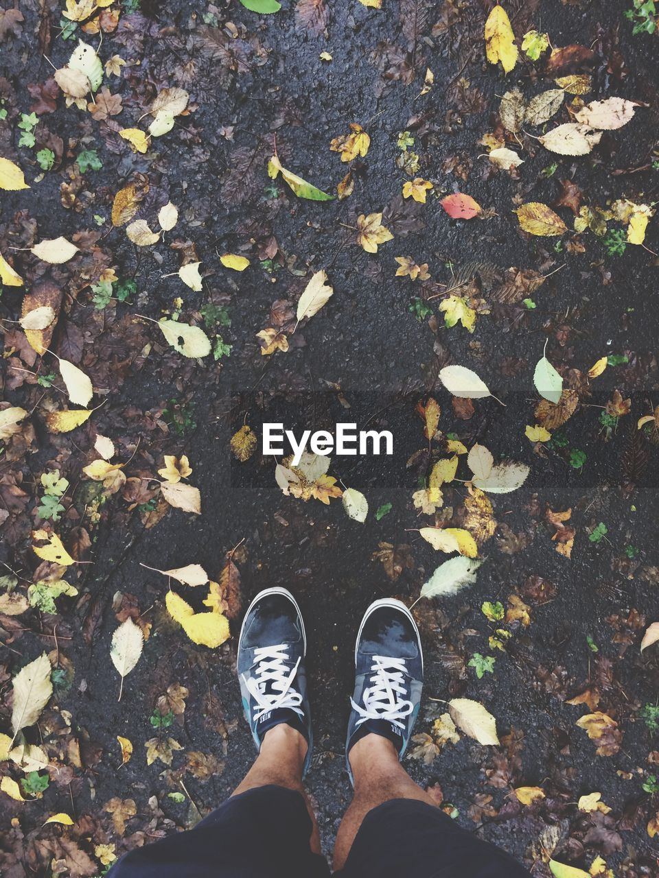 Man standing near fallen leaves