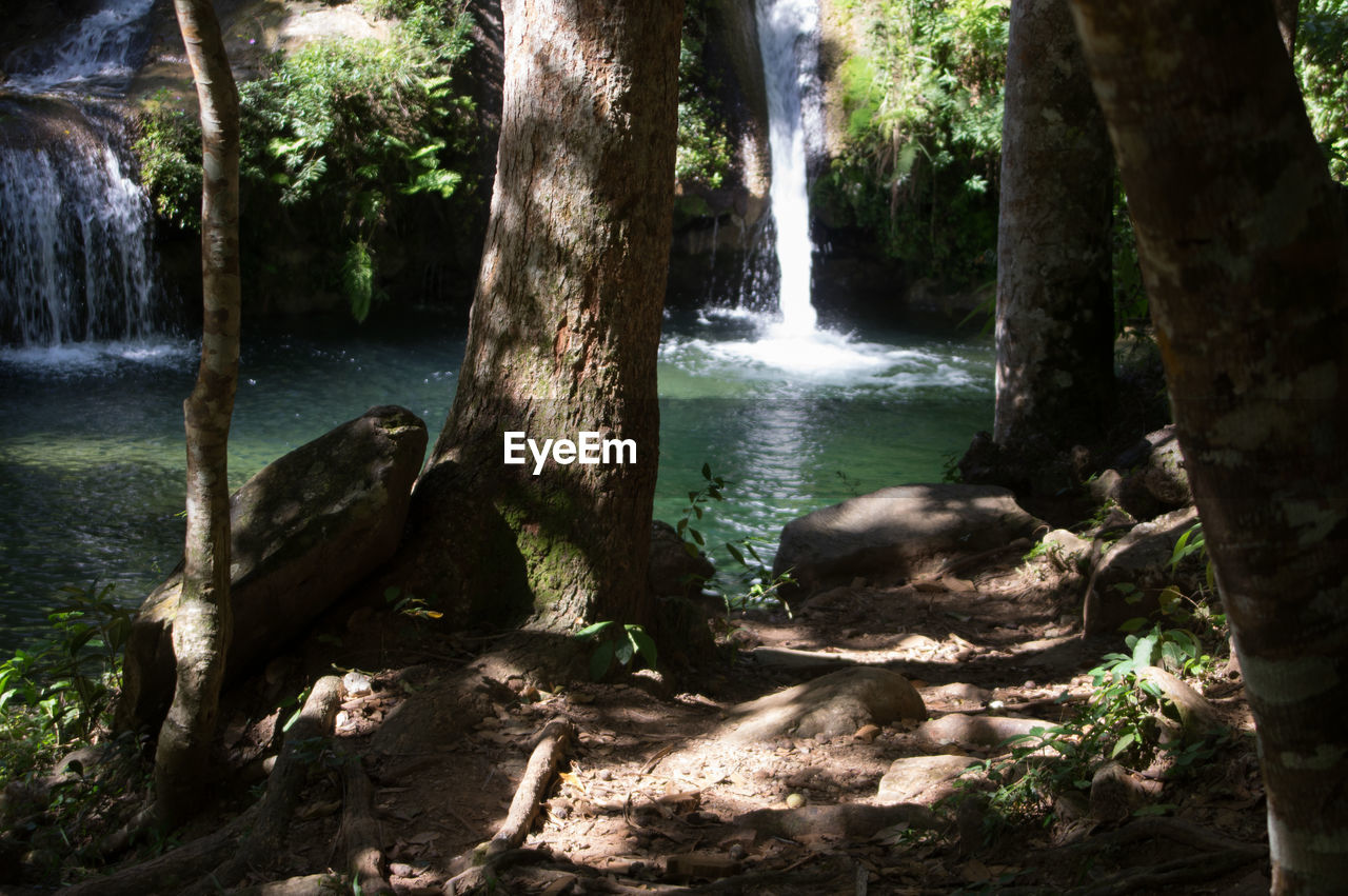 FOUNTAIN BY TREE