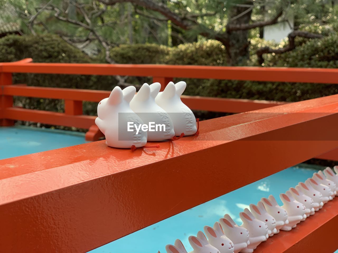 close-up of dental equipment at park