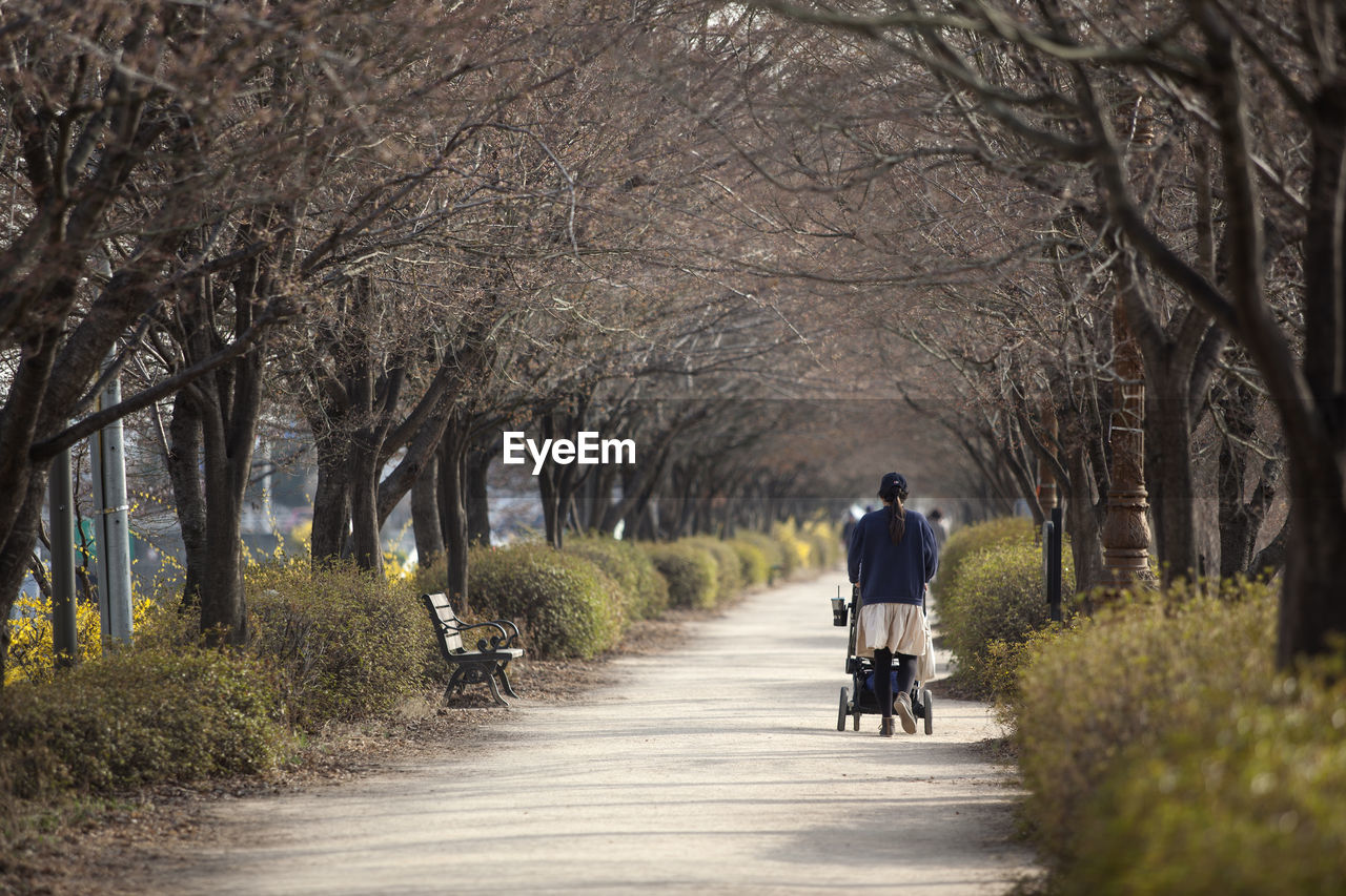 Rear view of woman with baby carriage walking on road