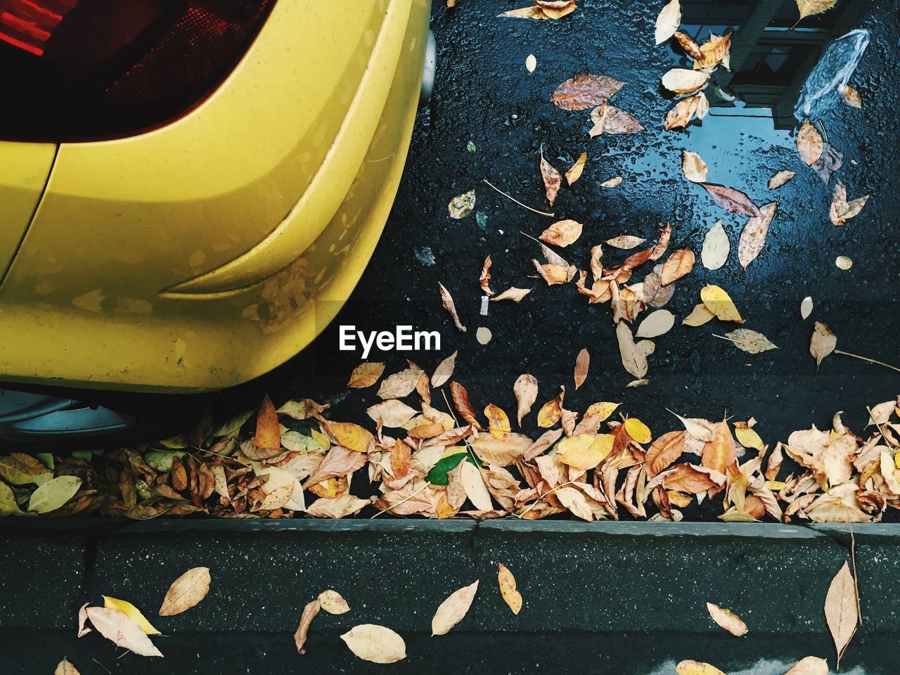 Cropped yellow car by leaves on road