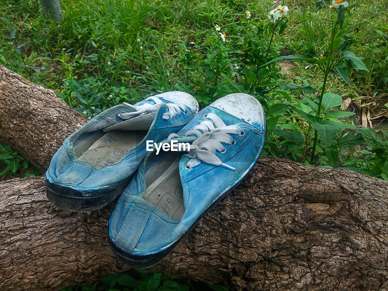 HIGH ANGLE VIEW OF SHOES ON GRASS