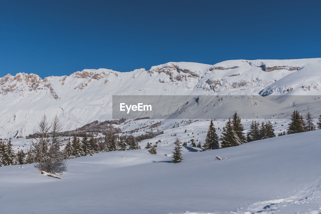 A picturesque landscape view of the french alps mountains and tall pine trees covered in snow