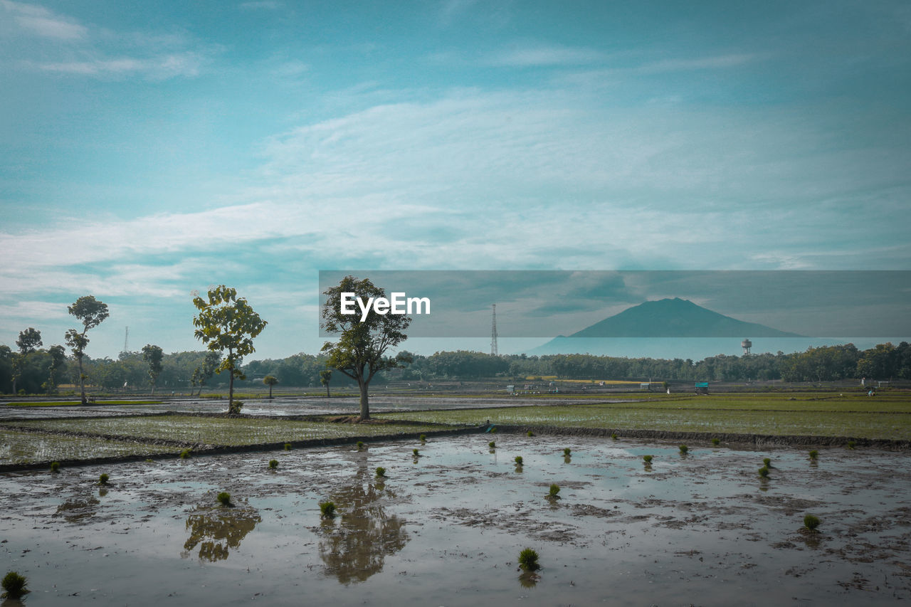 SCENIC VIEW OF LAKE