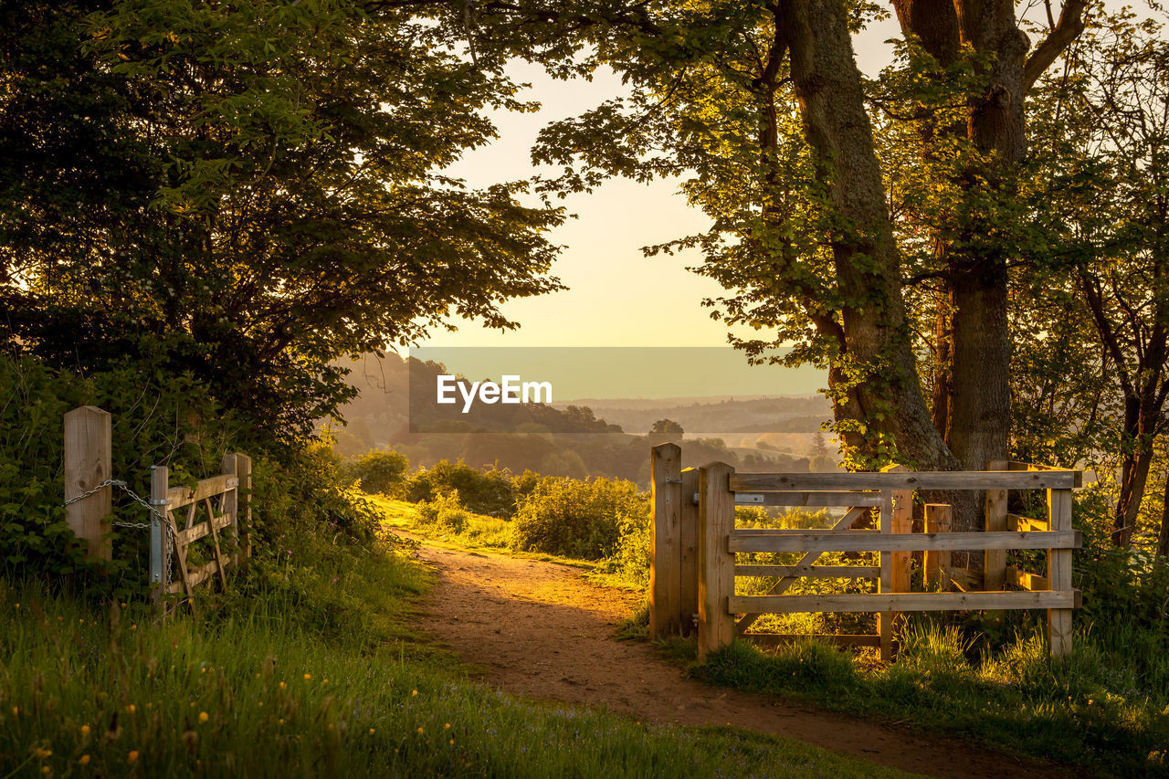 Gate on field amidst trees during sunny day