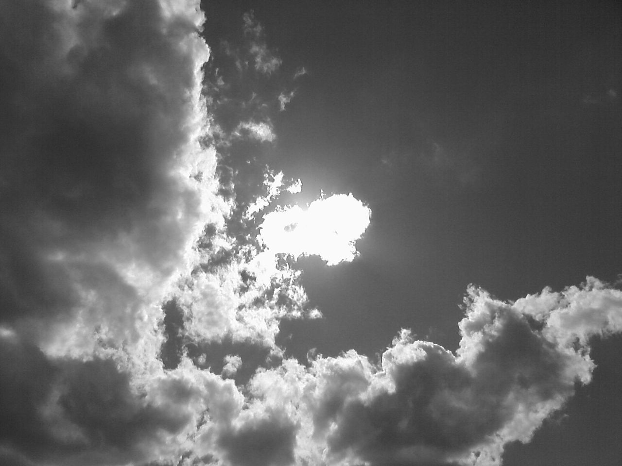 LOW ANGLE VIEW OF SKY AND CLOUDS IN SUNLIGHT