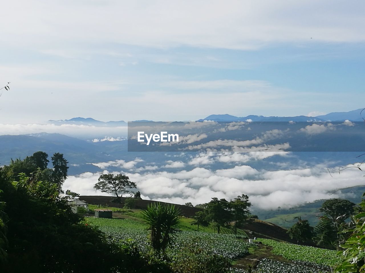 LANDSCAPE AGAINST SKY