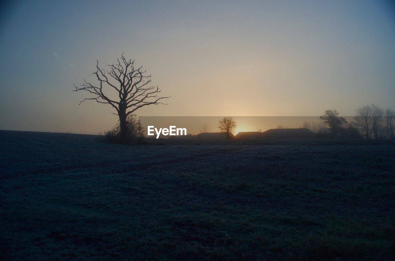 Scenic view of field against clear sky at sunset