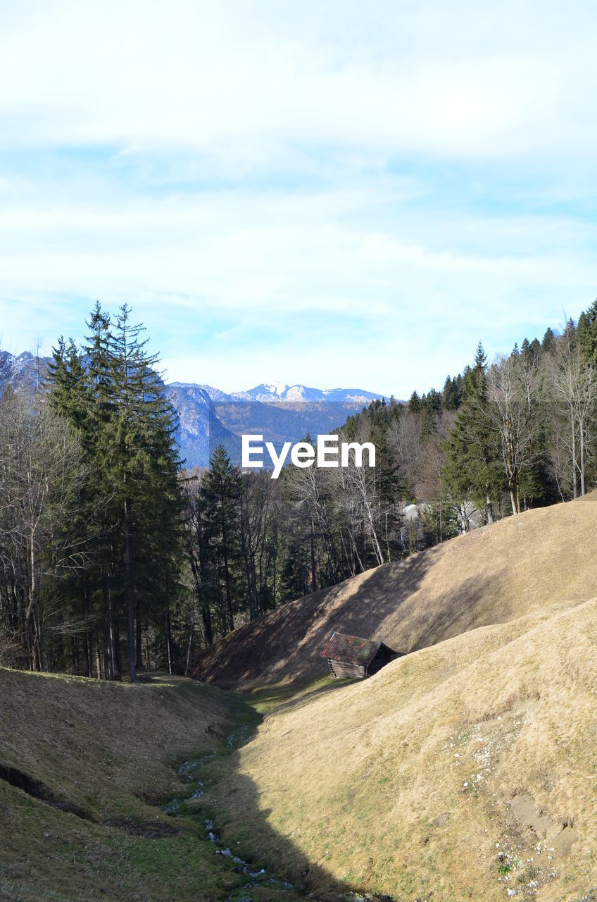 SCENIC VIEW OF TREES AND MOUNTAINS AGAINST SKY