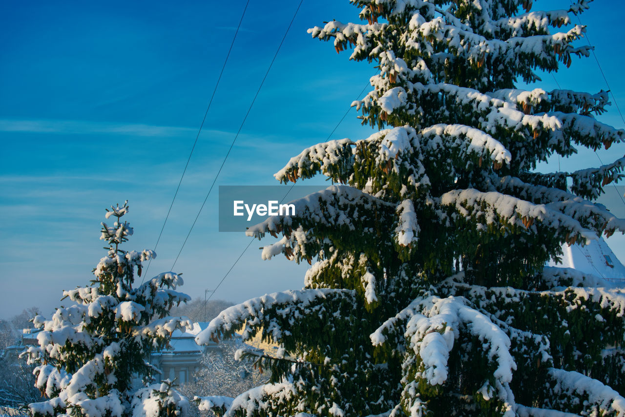 Panoramic shot of snow covered plants against sky