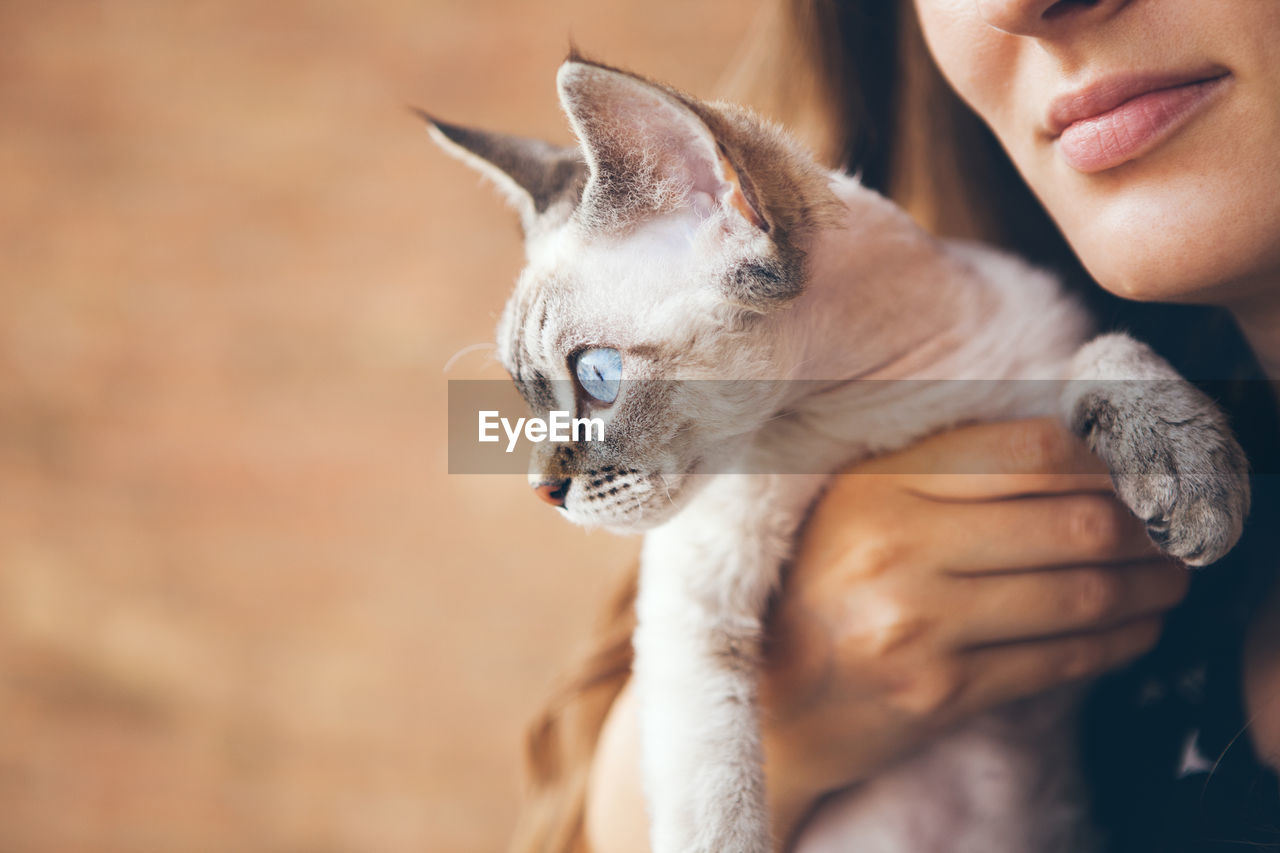 Midsection of woman holding cat