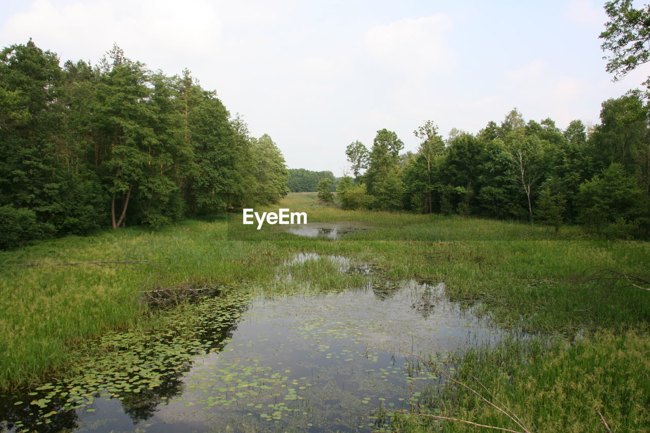 SCENIC VIEW OF POND AGAINST SKY