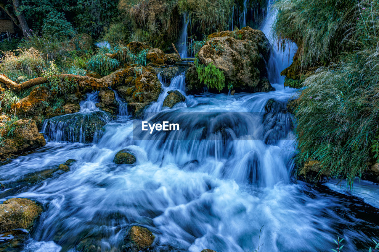 Scenic view of waterfall in forest