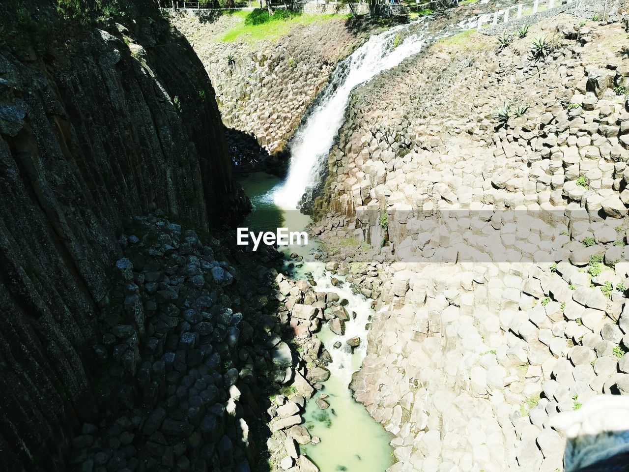 RIVER AMIDST TREES